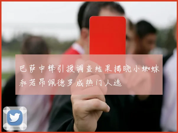 巴萨中锋引援调查结果揭晓小蜘蛛和若昂佩德罗成热门人选
